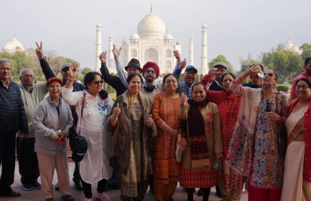 Picnic & Tours at Amazing Seniors