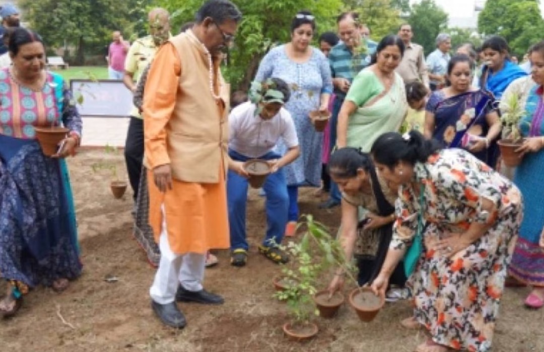 Social Welfare for Masses at Amazing Seniors